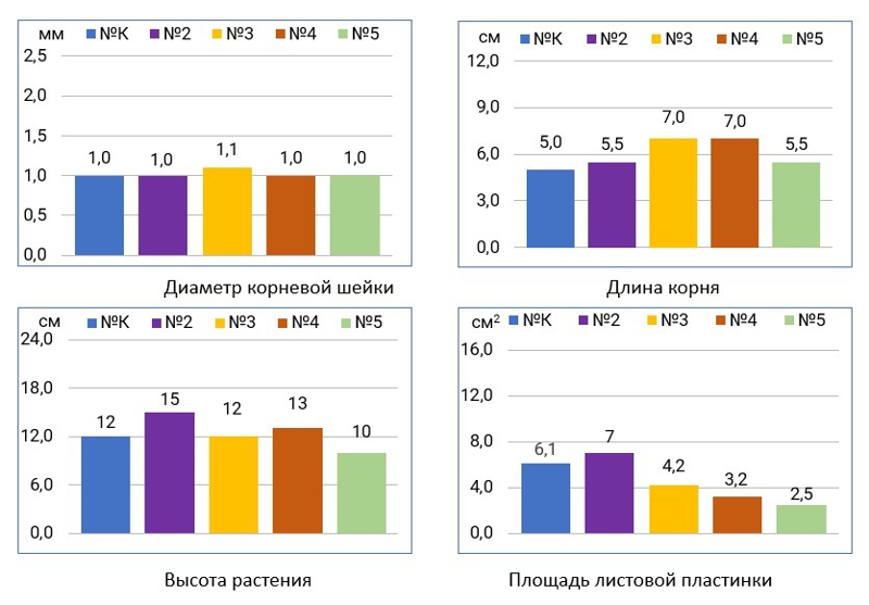 Спектр излучения и рассада голубики