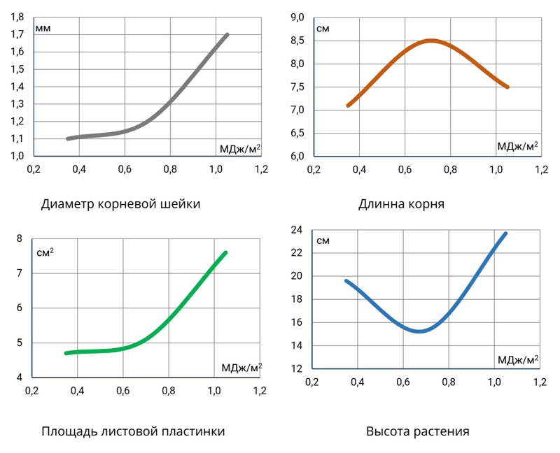 Спектр излучения и рассада голубики