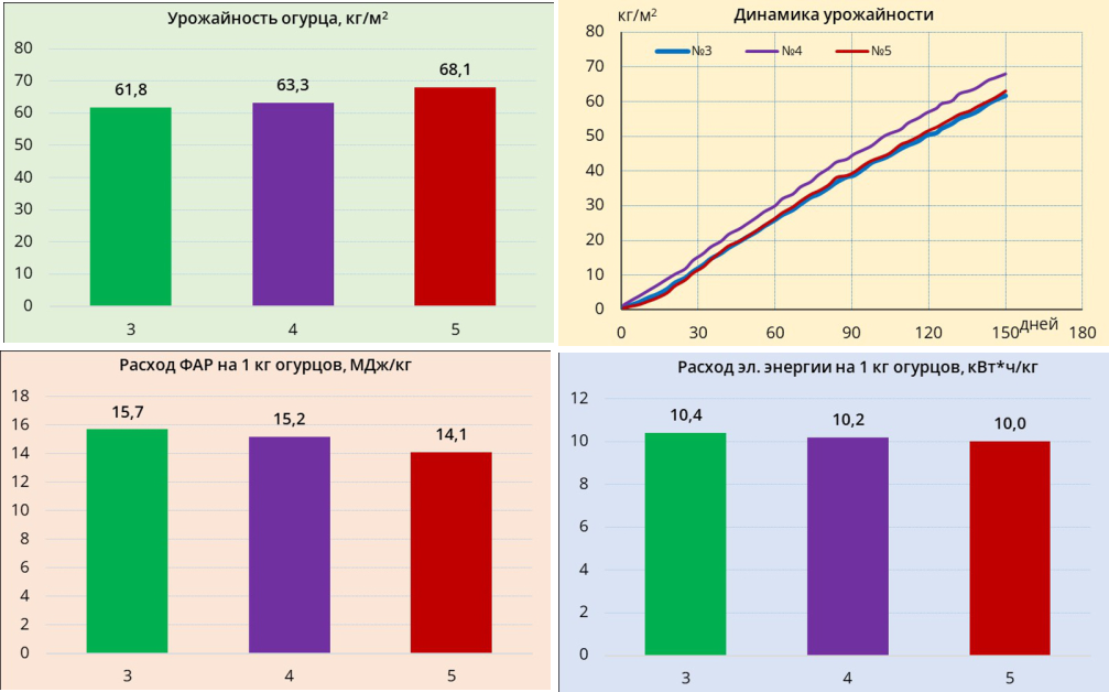 Энергоёмкость огурцов сорта Мева