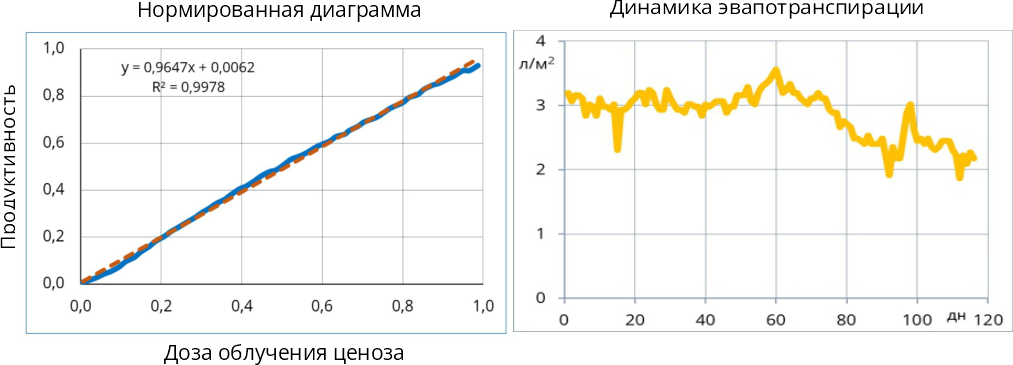 Энергоёмкость огурцов сорта Мева